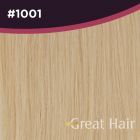 Great Hair Extensions Weft #1001 50cm