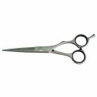 Kyone 480 College Line knip 6,0 inch Zilver 6inch