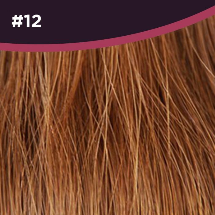 Great Hair Extensions Kleursample #12 main product photo
