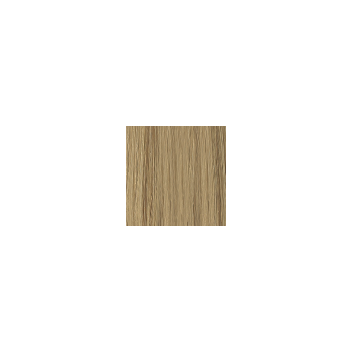 Di Biase Extensions - natural straight #DB2 40cm main product photo