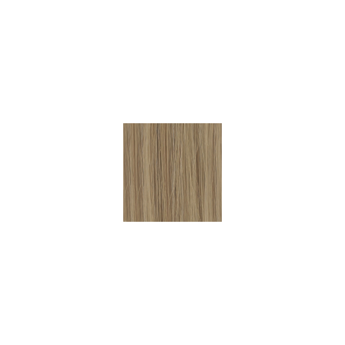 Di Biase Hair Extensions - natural straight #24 60cm main product photo
