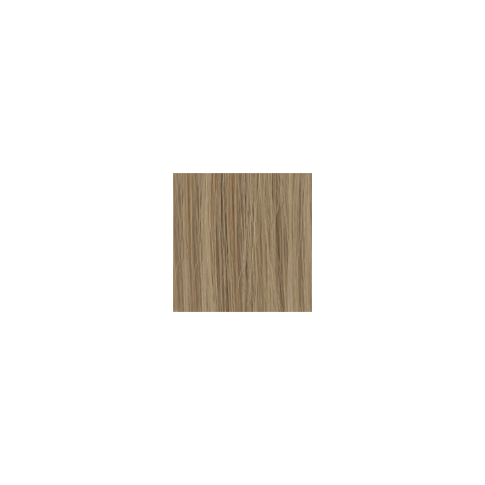 Di Biase Hair Extensions - natural straight #24 50cm main product photo