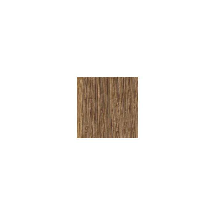 Di Biase Hair Extensions - natural straight #27 50cm main product photo