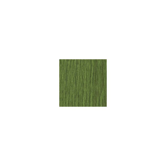 Di Biase Hair Extensions - natural straight Groen 50cm main product photo