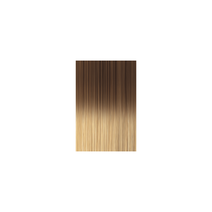 Di Biase Bonding extensions - natural wavy - 50cm - #17/26 SHATUSH main product photo