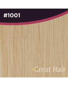 Great Hair Extensions Tape Extensions #1001 40cm