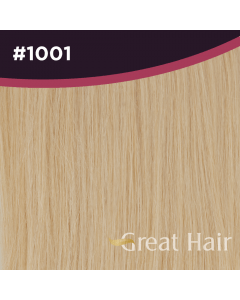 Great Hair Extensions Tape Extensions #1001 50cm