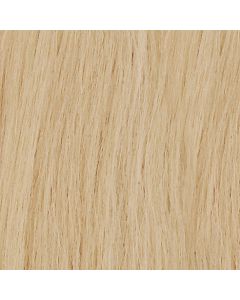Di Biase Hair Tape Extensions - 40cm - #24