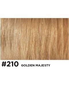 Double True Clip In - 50cm - natural straight - 210 Golden Magesty
