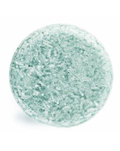 ShampooBars Shampoo Bar Eucalyptus 60gr