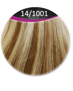 Great Hair Tape Extensions - 40cm - natural straight - #14/1001
