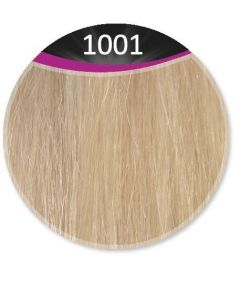 Great Hair Weft - natural straight - 50cm - #1001