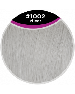 Great Hair Kleursample #1002 Zilver